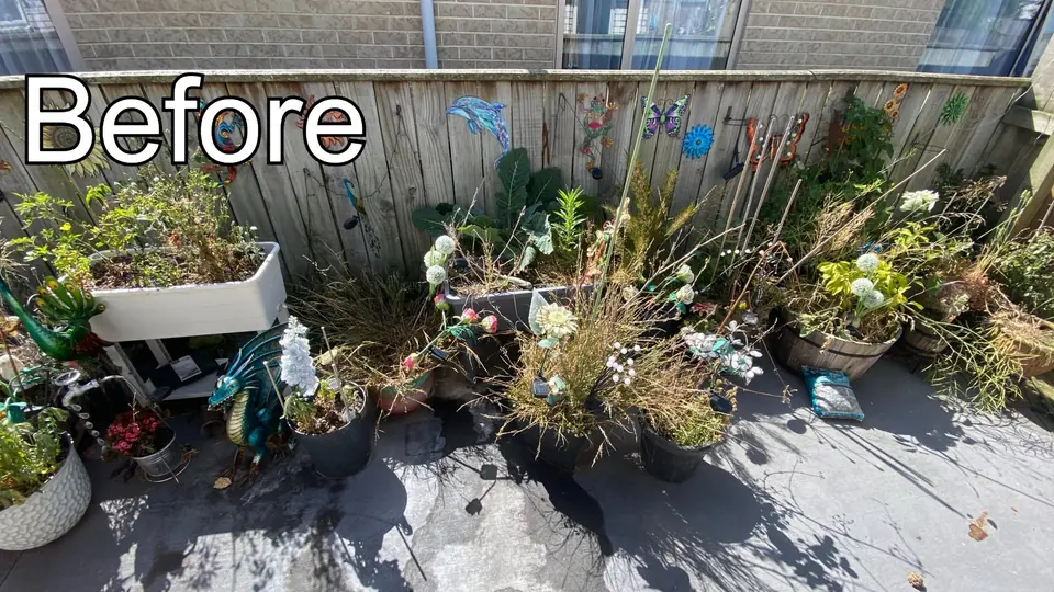 Before: a concrete courtyard crowded with overgrown pots, dead plants and clutter along the fence