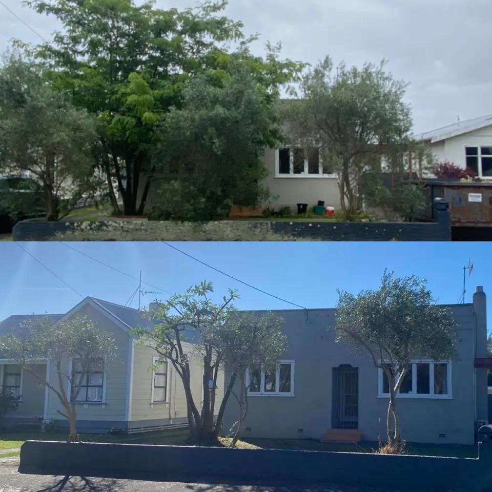 Before and after of a street frontage: overgrown trees hiding the house, then the same trees pruned back so the house and windows are clear